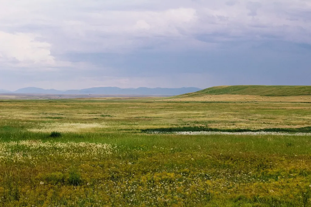 Little Muddy Creek Ranch Cascade MT 59421