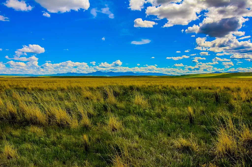 Little Muddy Creek Ranch Cascade MT 59421