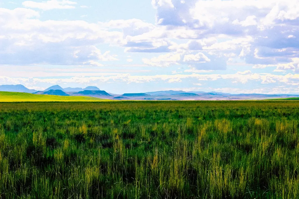 Little Muddy Creek Ranch Cascade MT 59421