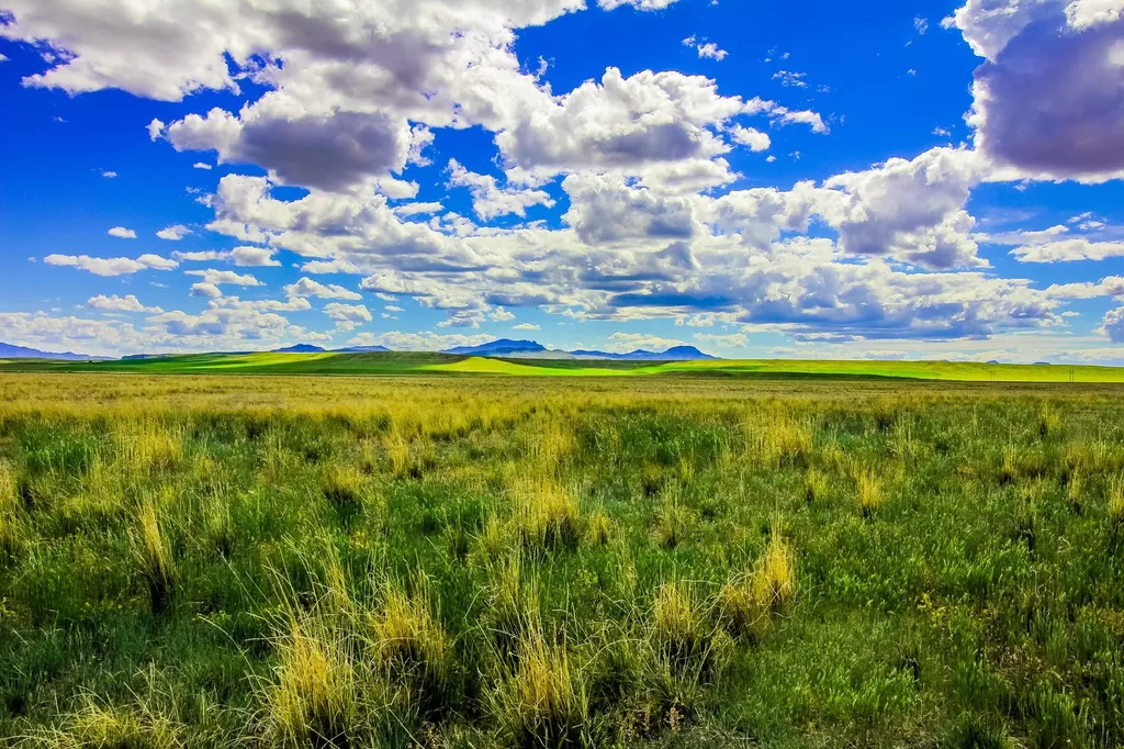Little Muddy Creek Ranch Cascade MT 59421