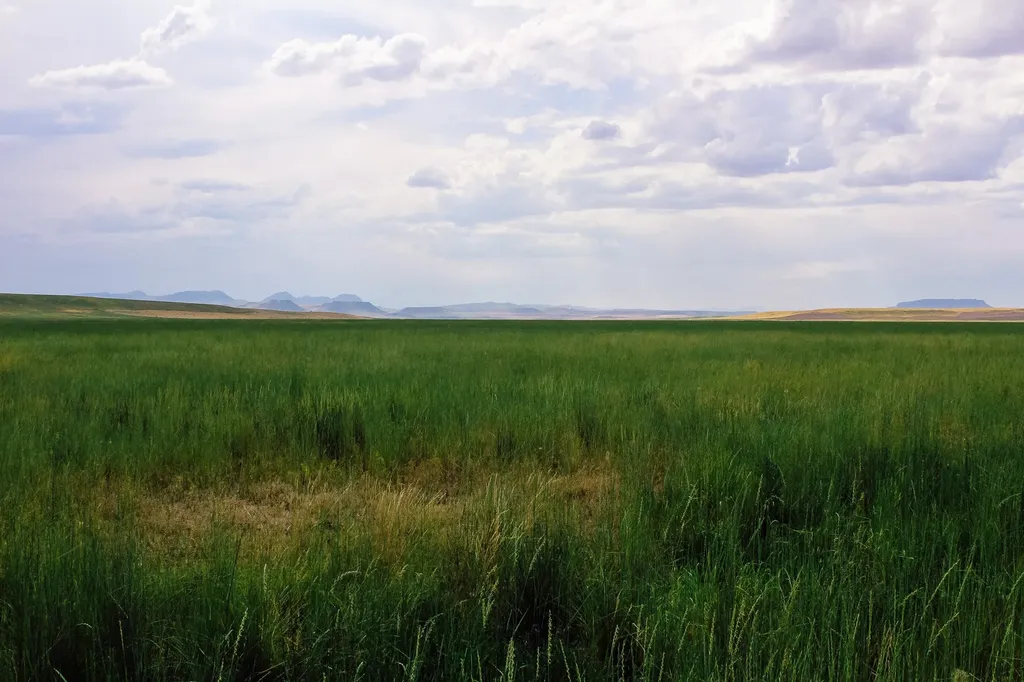 Little Muddy Creek Ranch Cascade MT 59421
