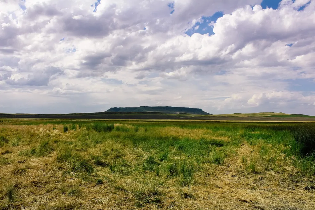 Little Muddy Creek Ranch Cascade MT 59421