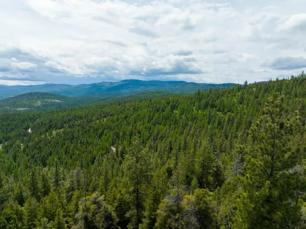 Nhn Copper Road Kalispell MT 59901
