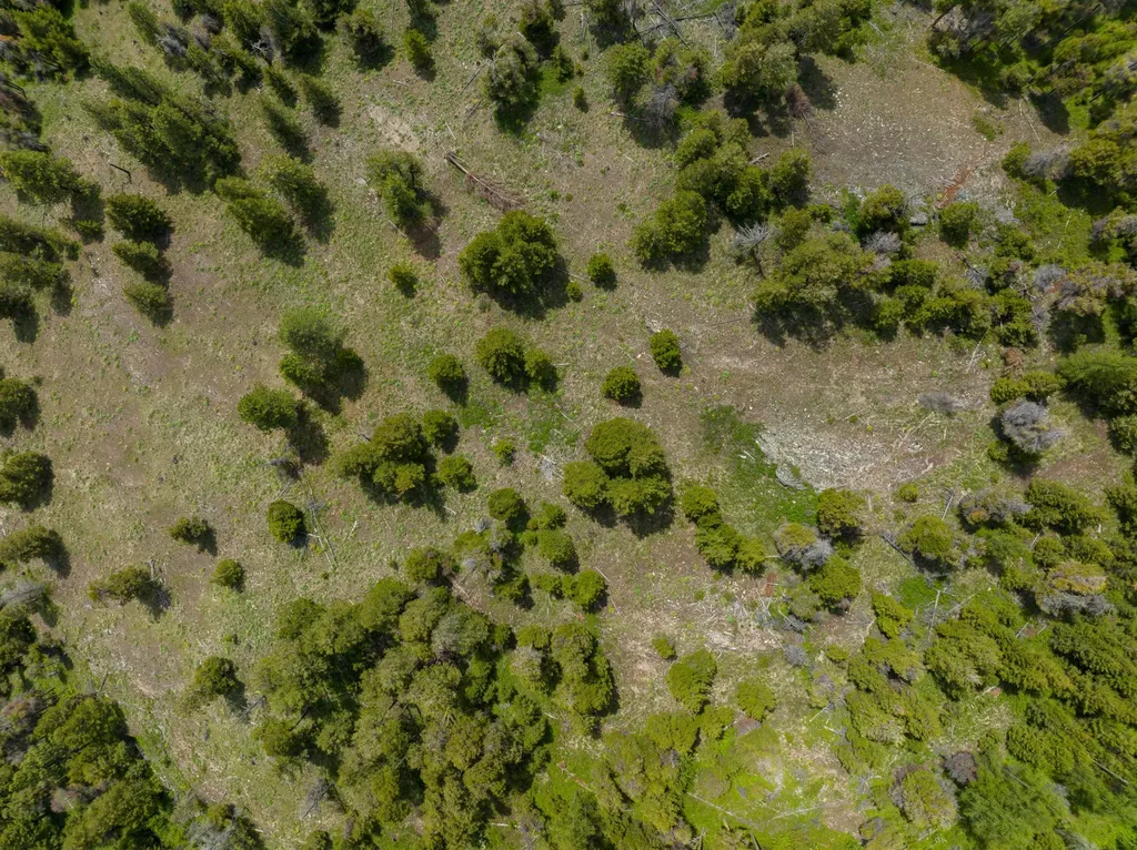 Nhn Copper Road Kalispell MT 59901