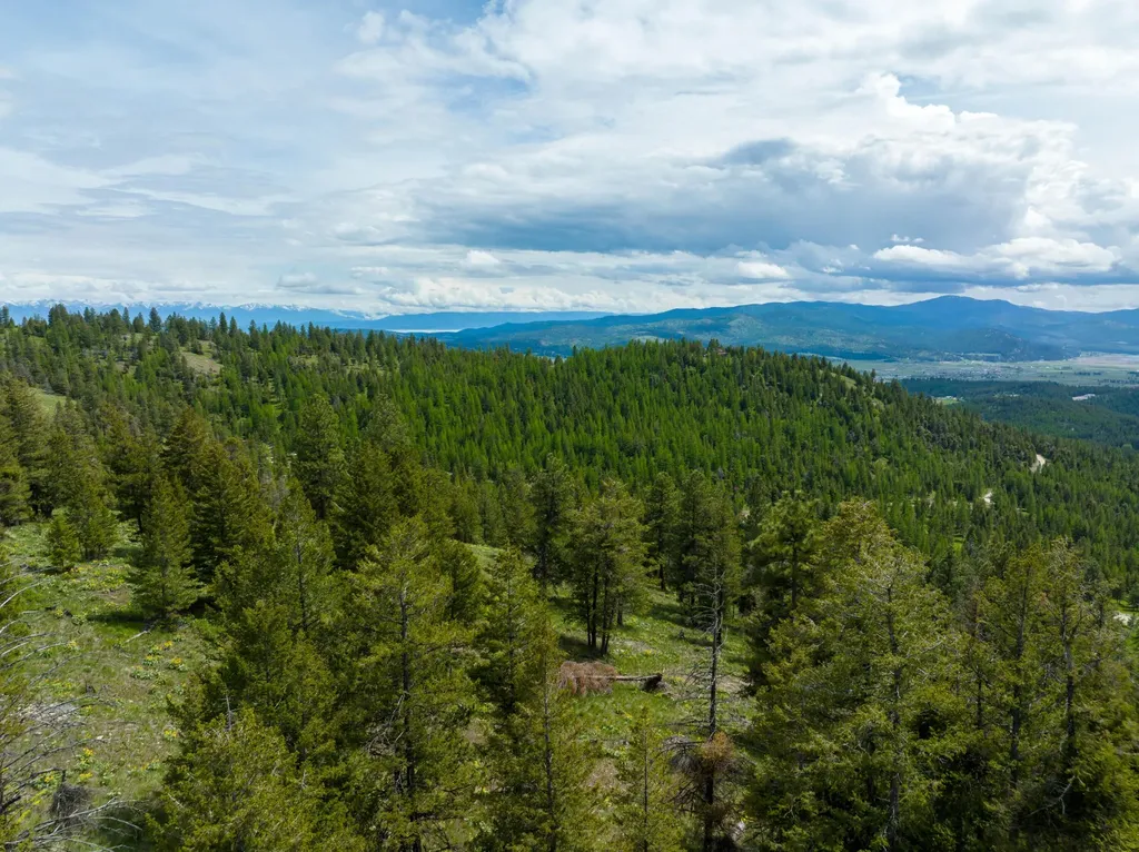 Nhn Copper Road Kalispell MT 59901