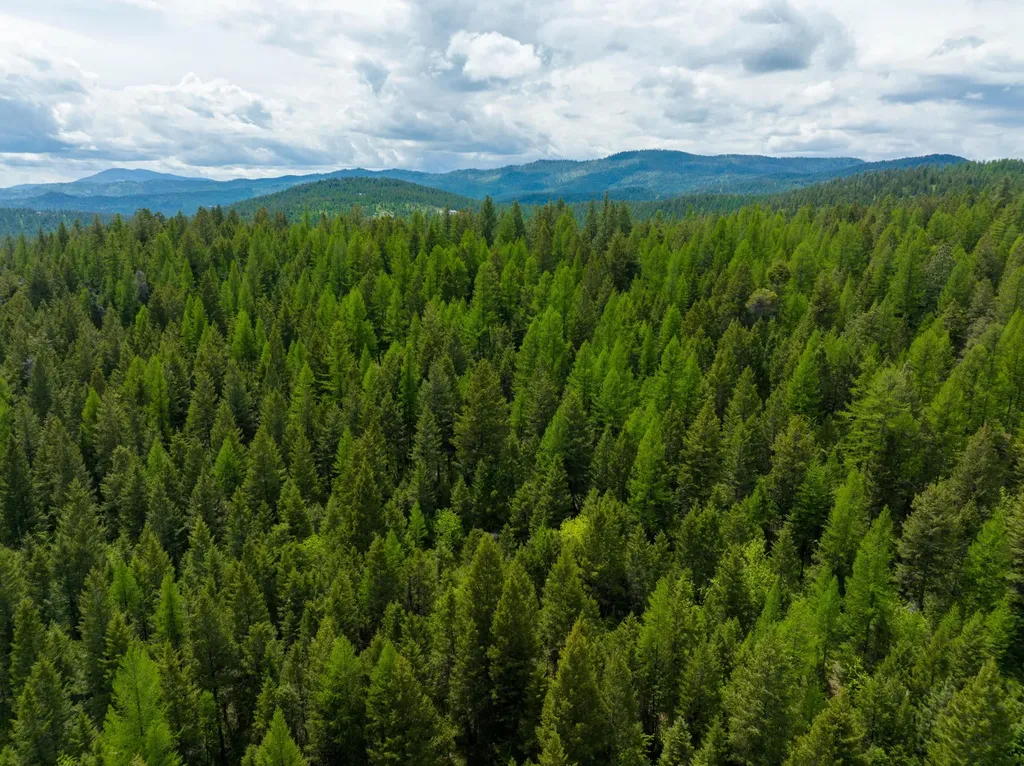 Nhn Copper Road Kalispell MT 59901