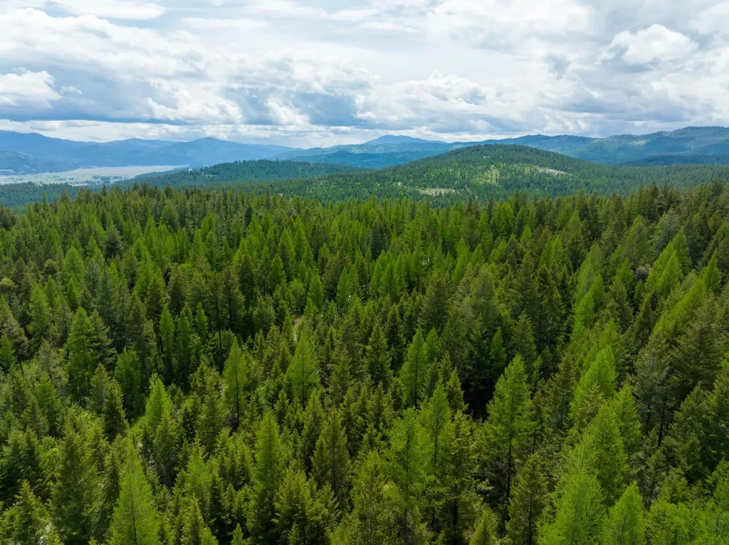 Nhn Copper Road Kalispell MT 59901