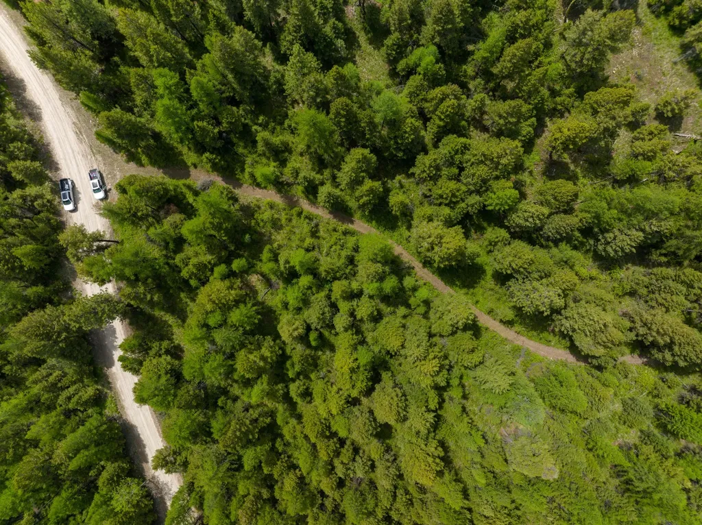 Nhn Copper Road Kalispell MT 59901