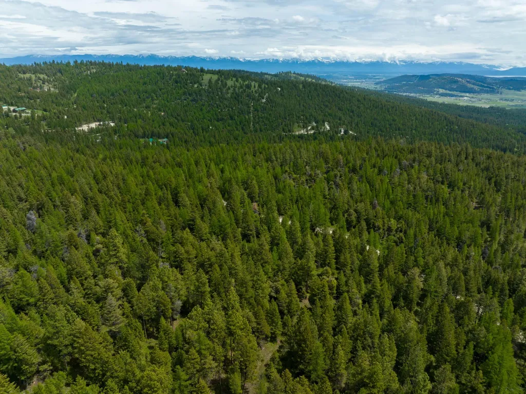 Nhn Copper Road Kalispell MT 59901