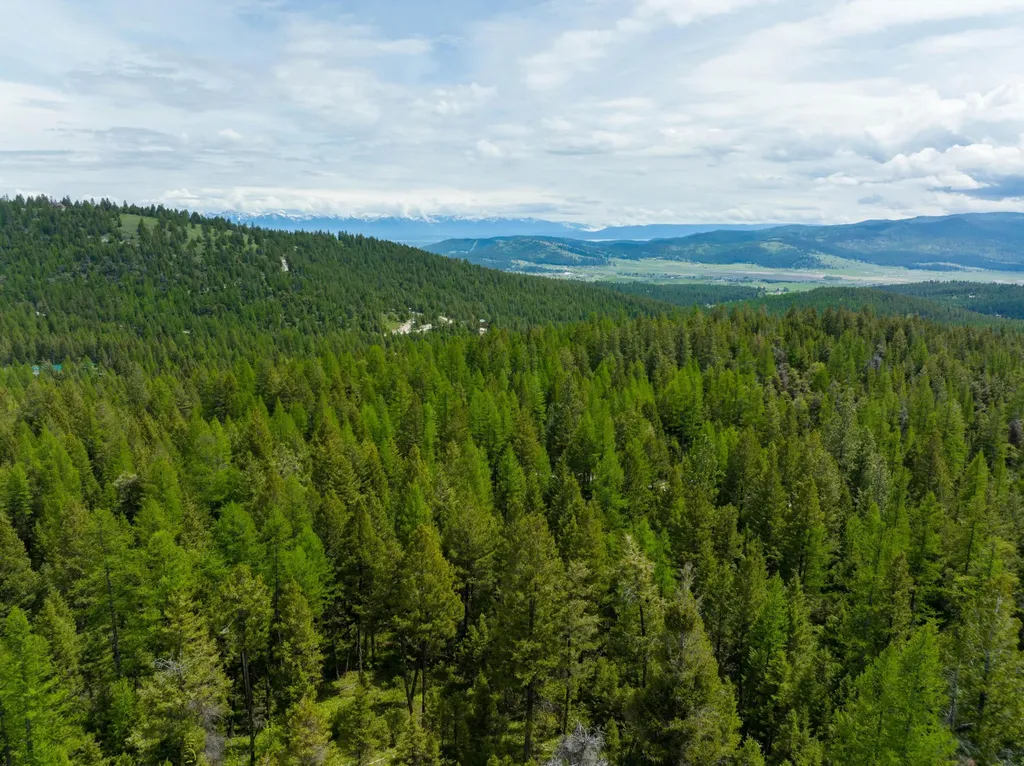 Nhn Copper Road Kalispell MT 59901