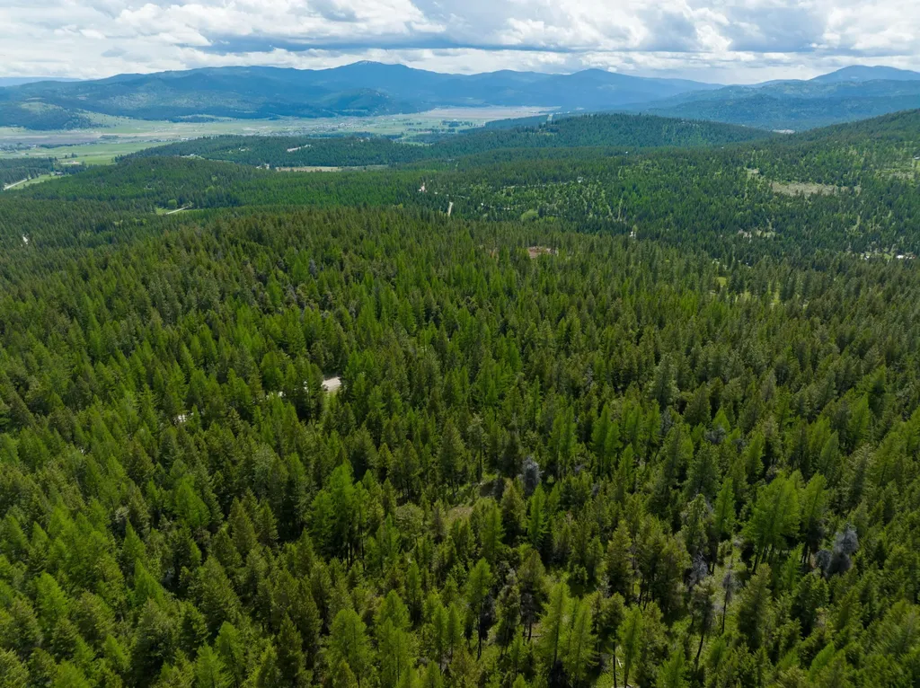 Nhn Copper Road Kalispell MT 59901