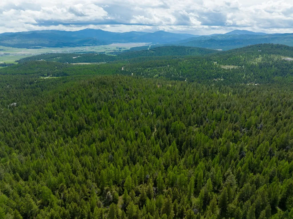 Nhn Copper Road Kalispell MT 59901