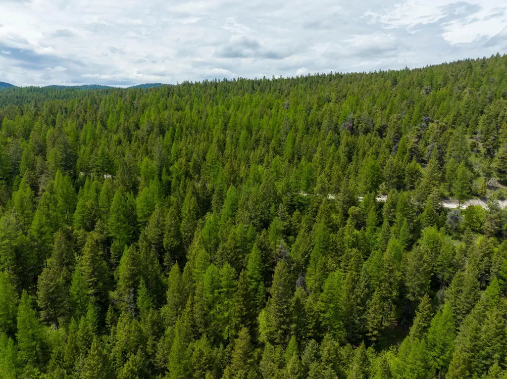 Nhn Copper Road Kalispell MT 59901
