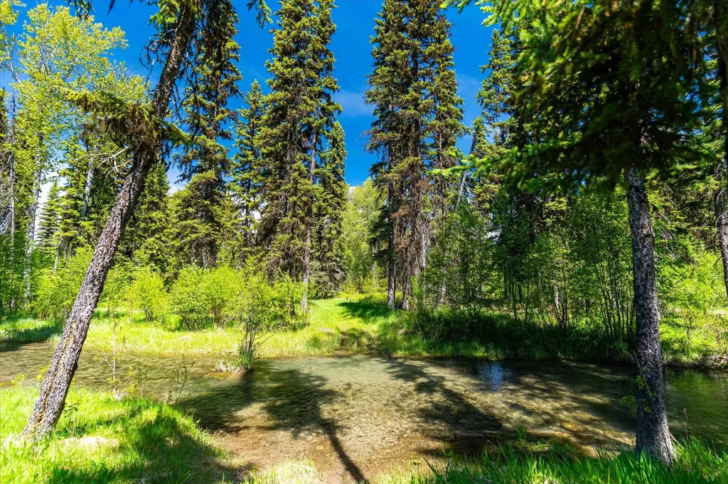 8500 North Fork Road Polebridge MT 59928