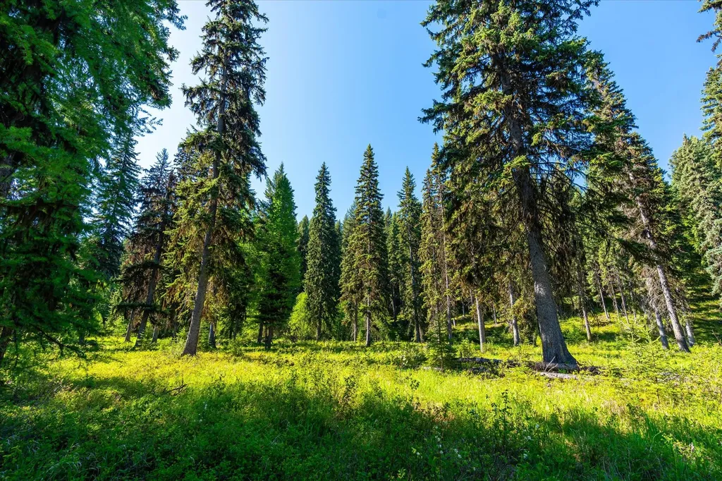 8500 North Fork Road Polebridge MT 59928