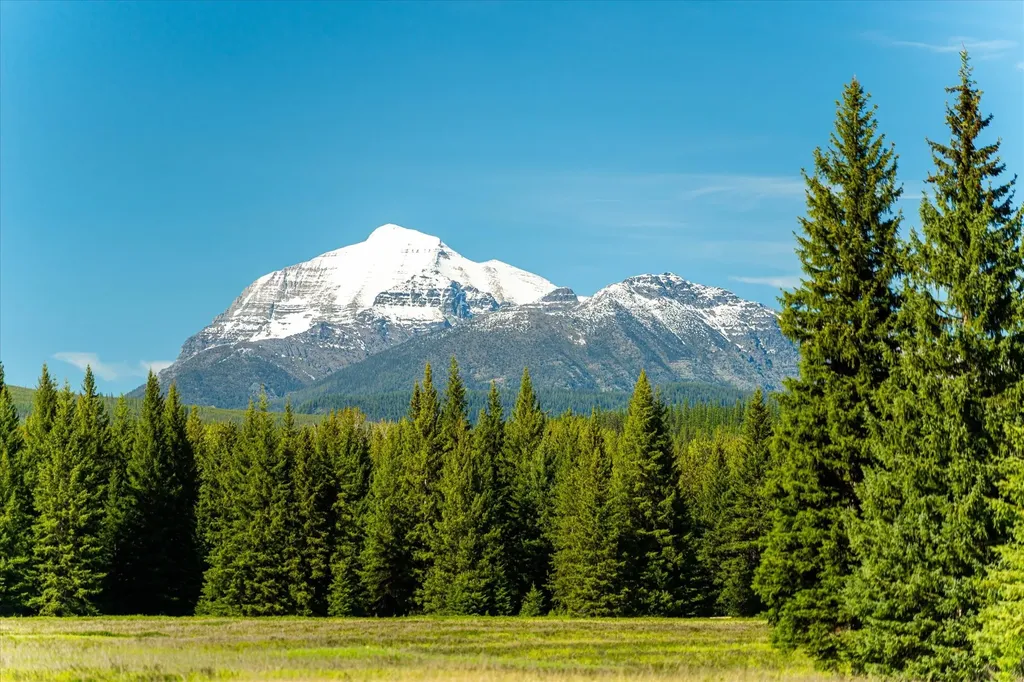 8500 North Fork Road Polebridge MT 59928