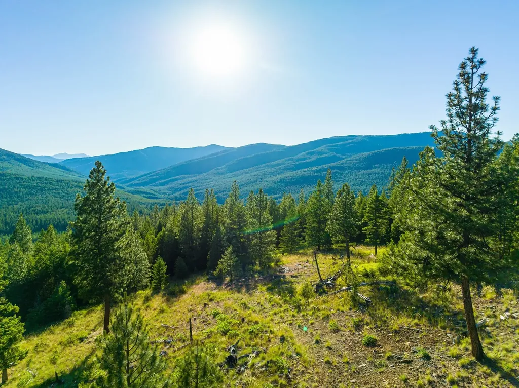 467 Wolf Creek Road Libby MT 59923