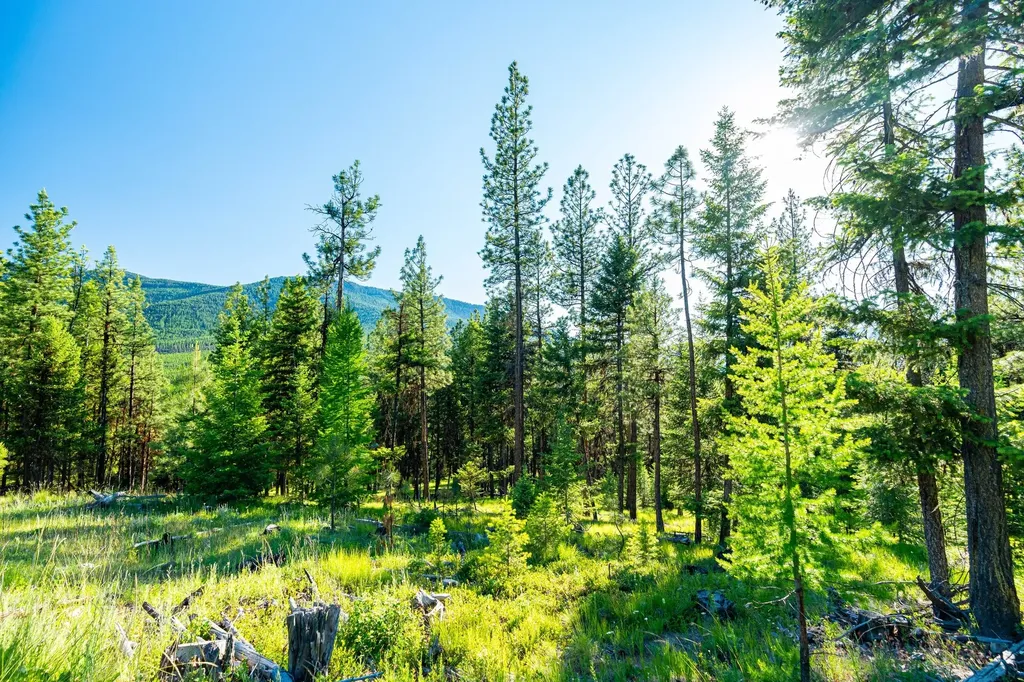 467 Wolf Creek Road Libby MT 59923