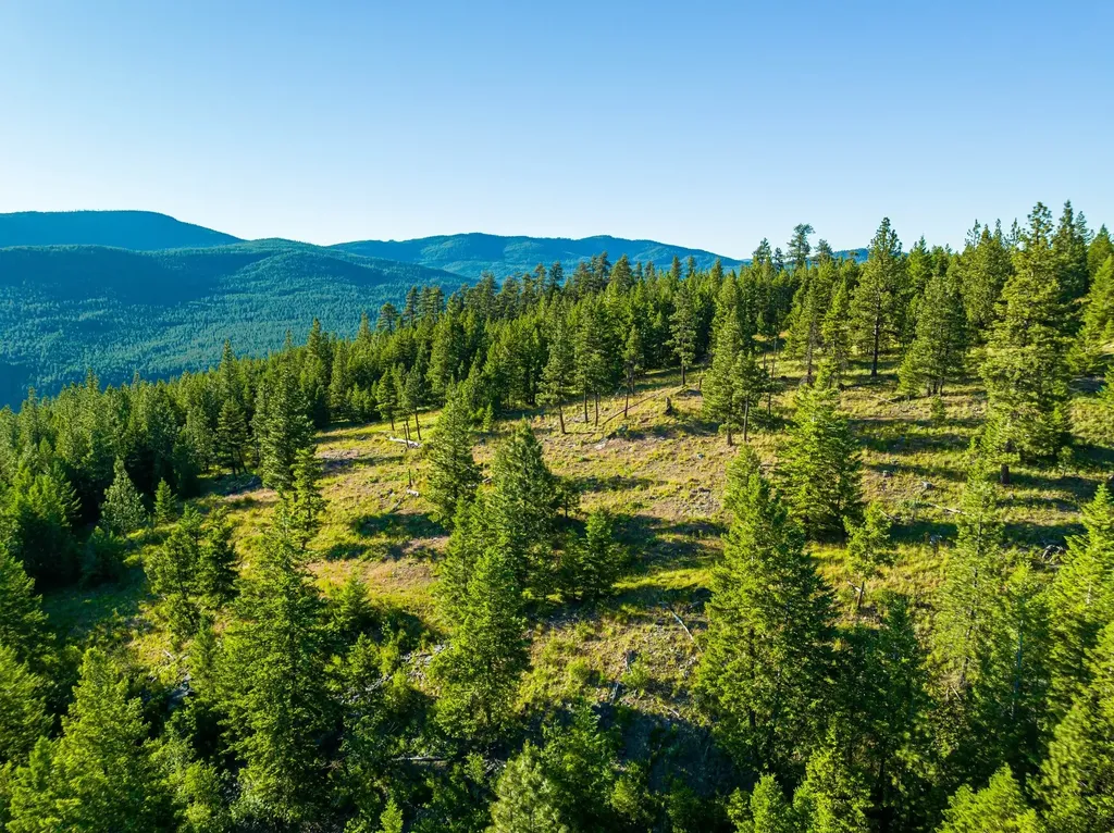 467 Wolf Creek Road Libby MT 59923