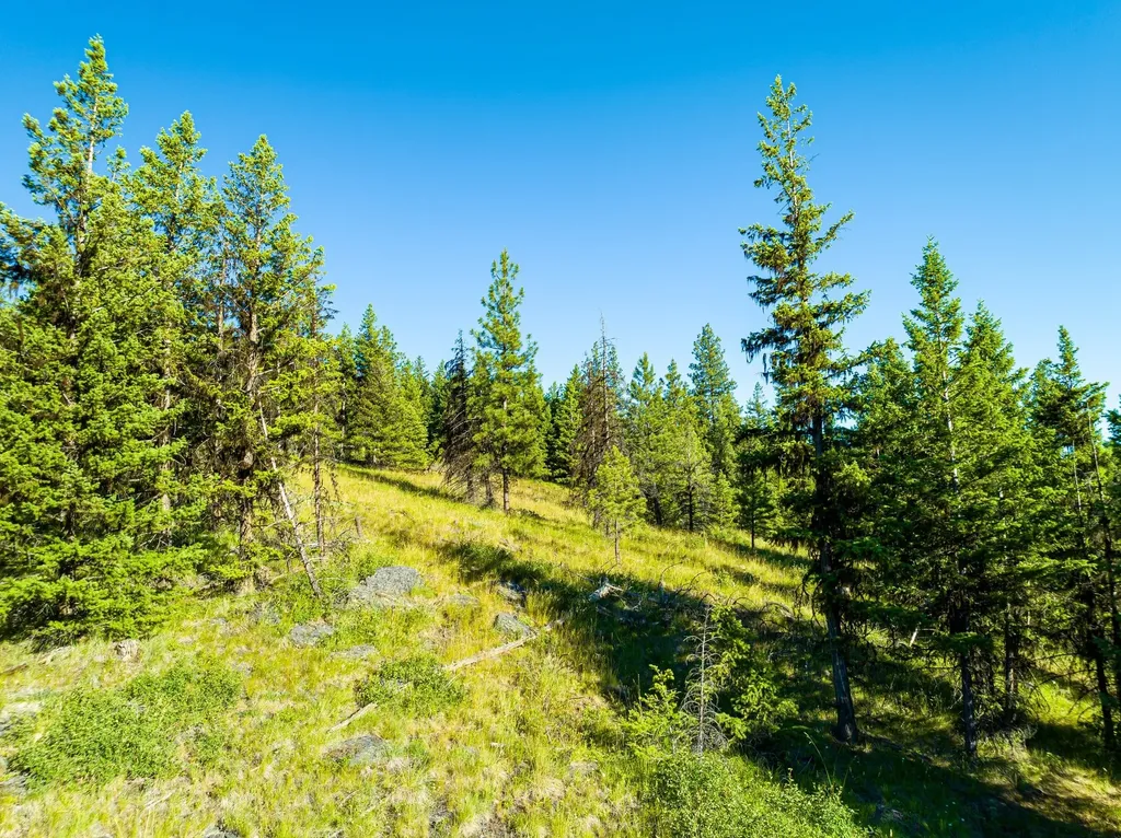 467 Wolf Creek Road Libby MT 59923