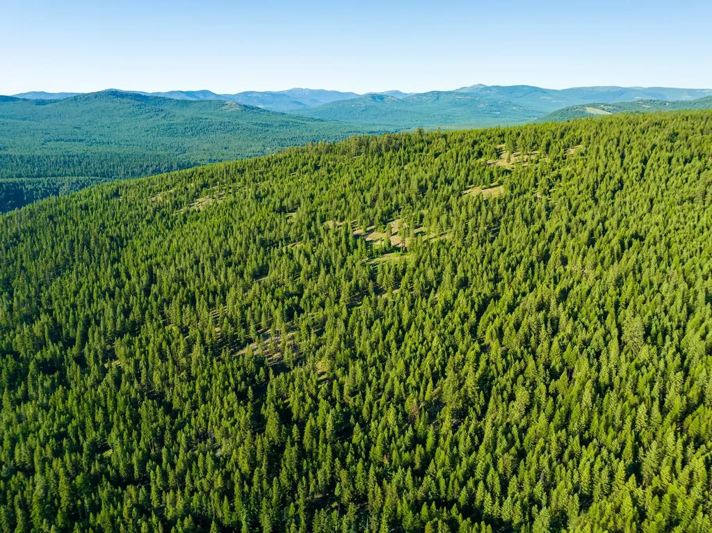 467 Wolf Creek Road Libby MT 59923