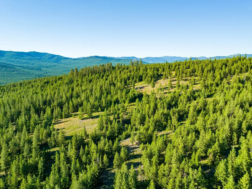 467 Wolf Creek Road Libby MT 59923