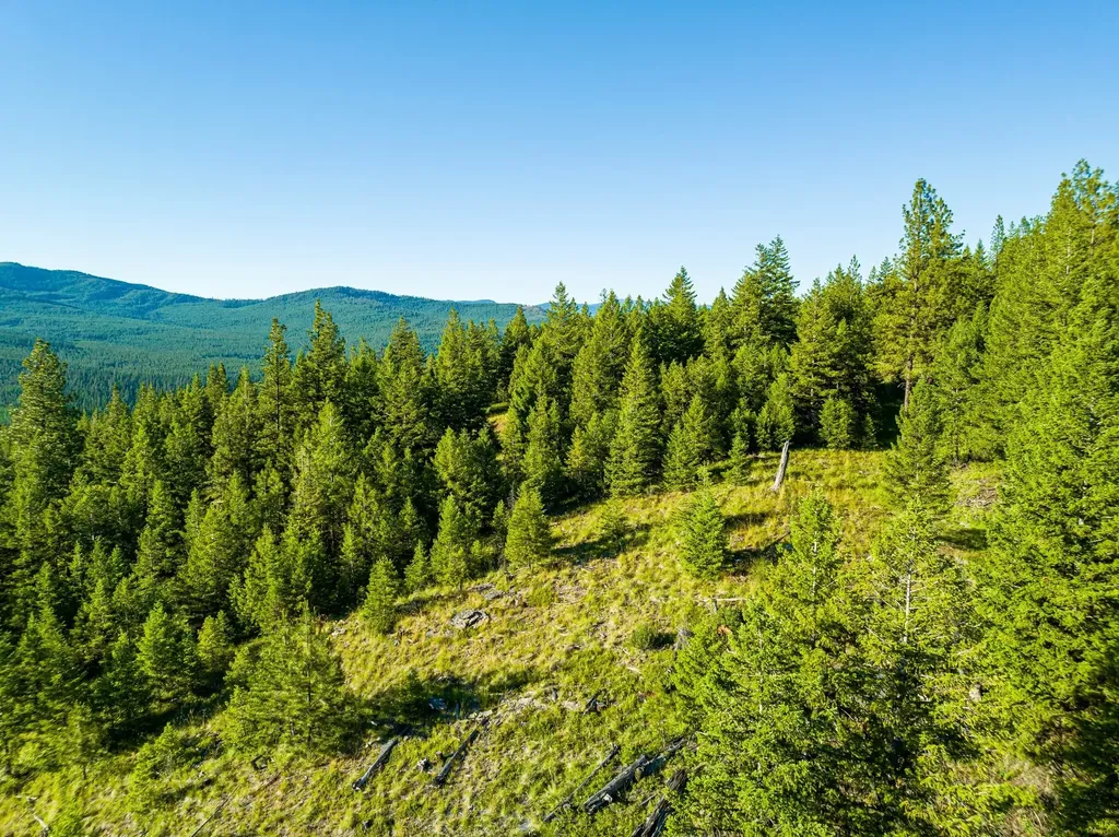 467 Wolf Creek Road Libby MT 59923