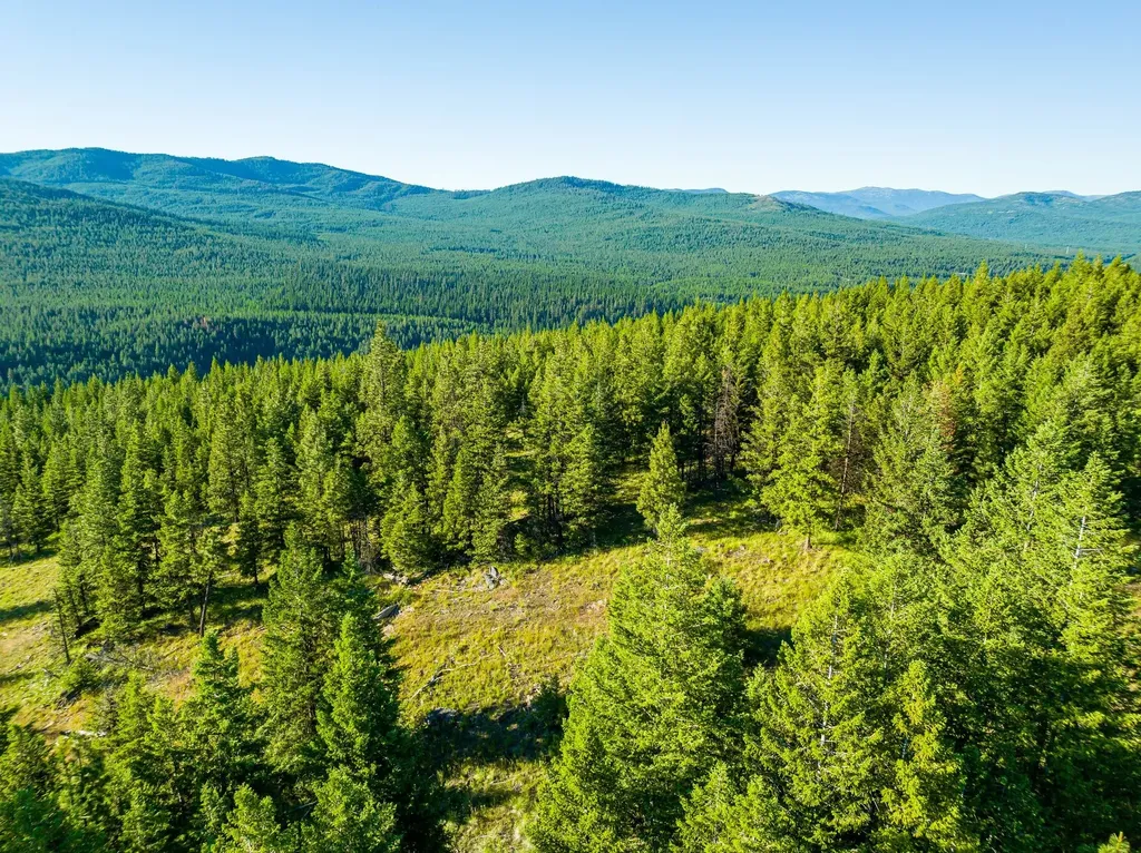 467 Wolf Creek Road Libby MT 59923