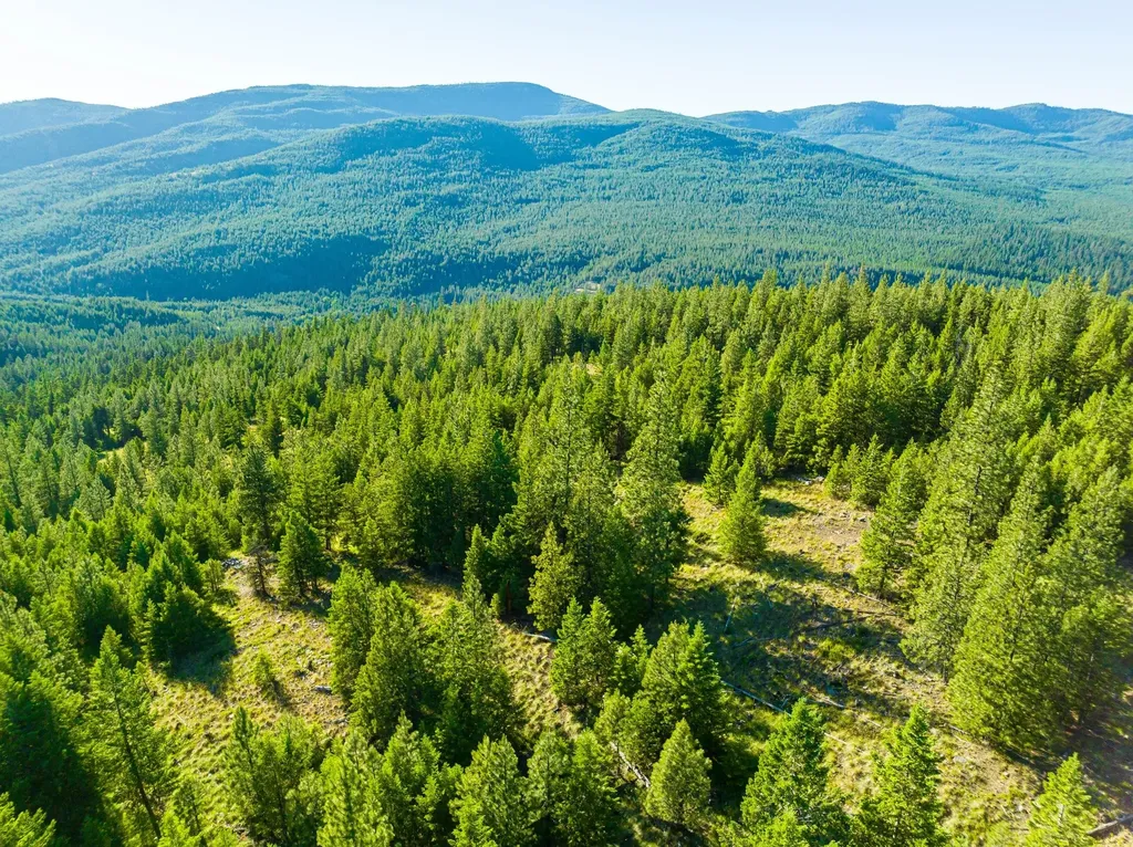 467 Wolf Creek Road Libby MT 59923