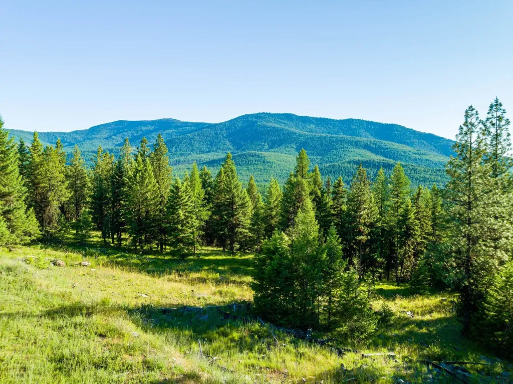 467 Wolf Creek Road Libby MT 59923