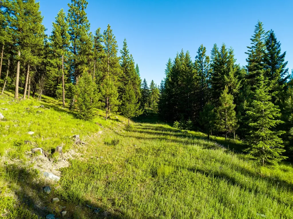 467 Wolf Creek Road Libby MT 59923