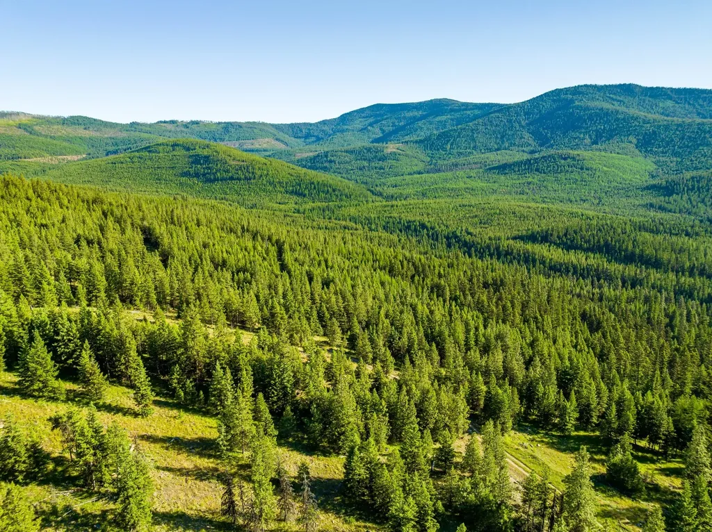 467 Wolf Creek Road Libby MT 59923