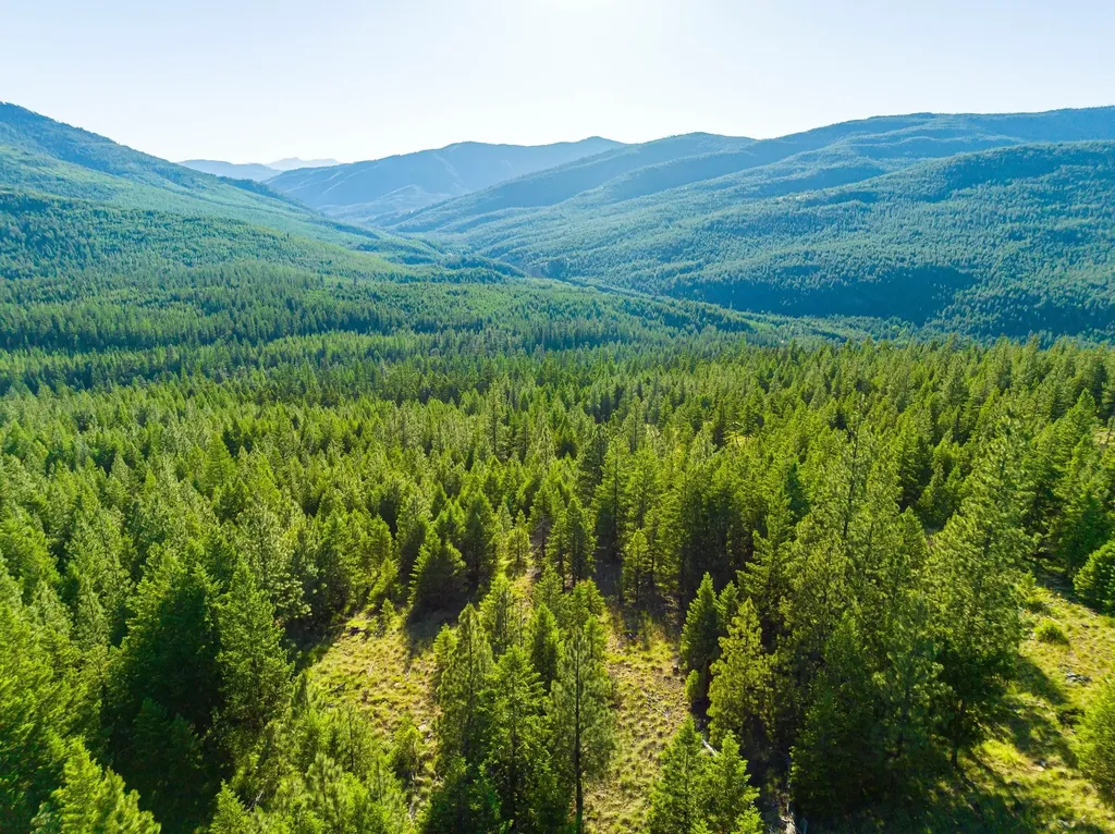 467 Wolf Creek Road Libby MT 59923