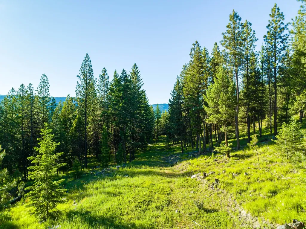 467 Wolf Creek Road Libby MT 59923