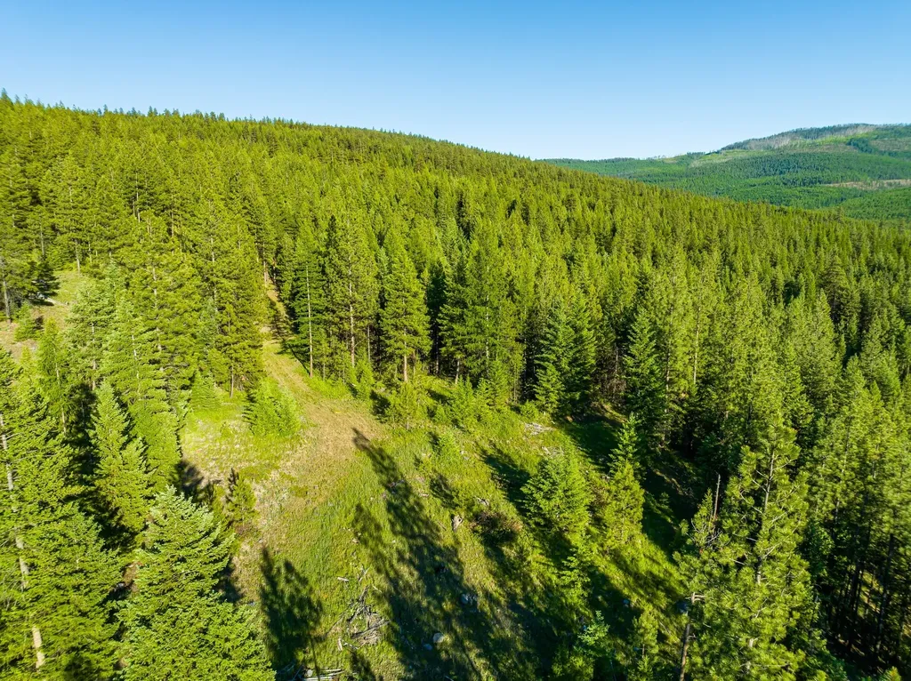 467 Wolf Creek Road Libby MT 59923