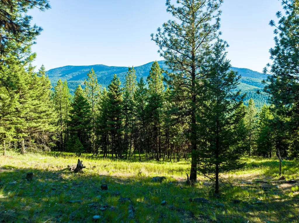 467 Wolf Creek Road Libby MT 59923