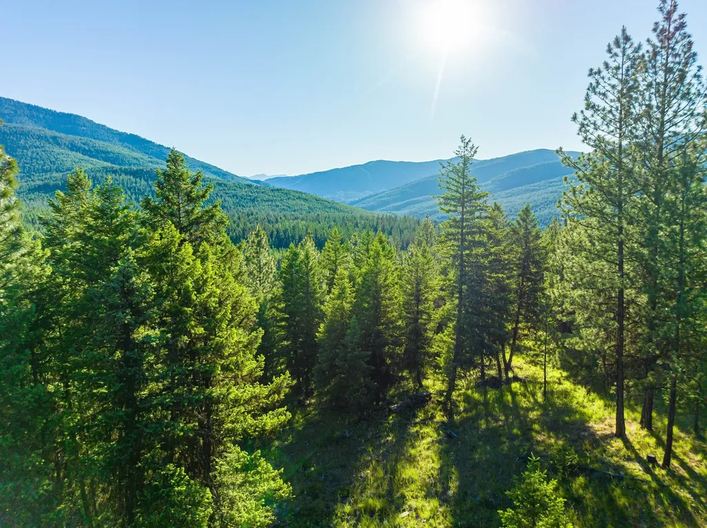 467 Wolf Creek Road Libby MT 59923