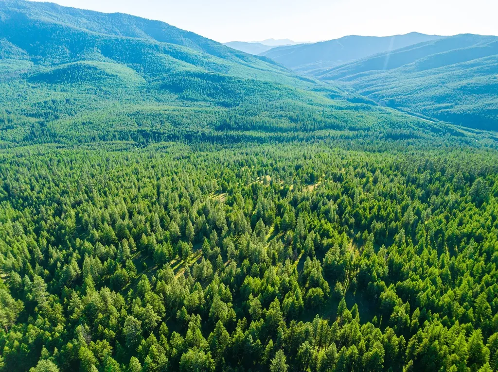467 Wolf Creek Road Libby MT 59923