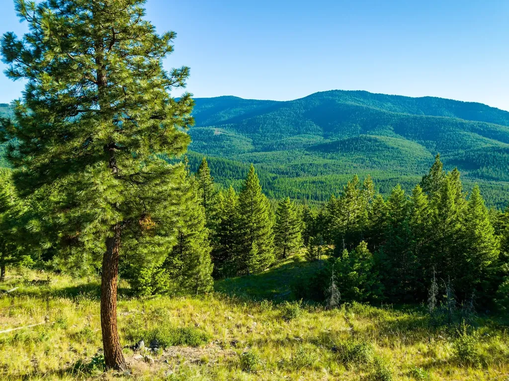 467 Wolf Creek Road Libby MT 59923