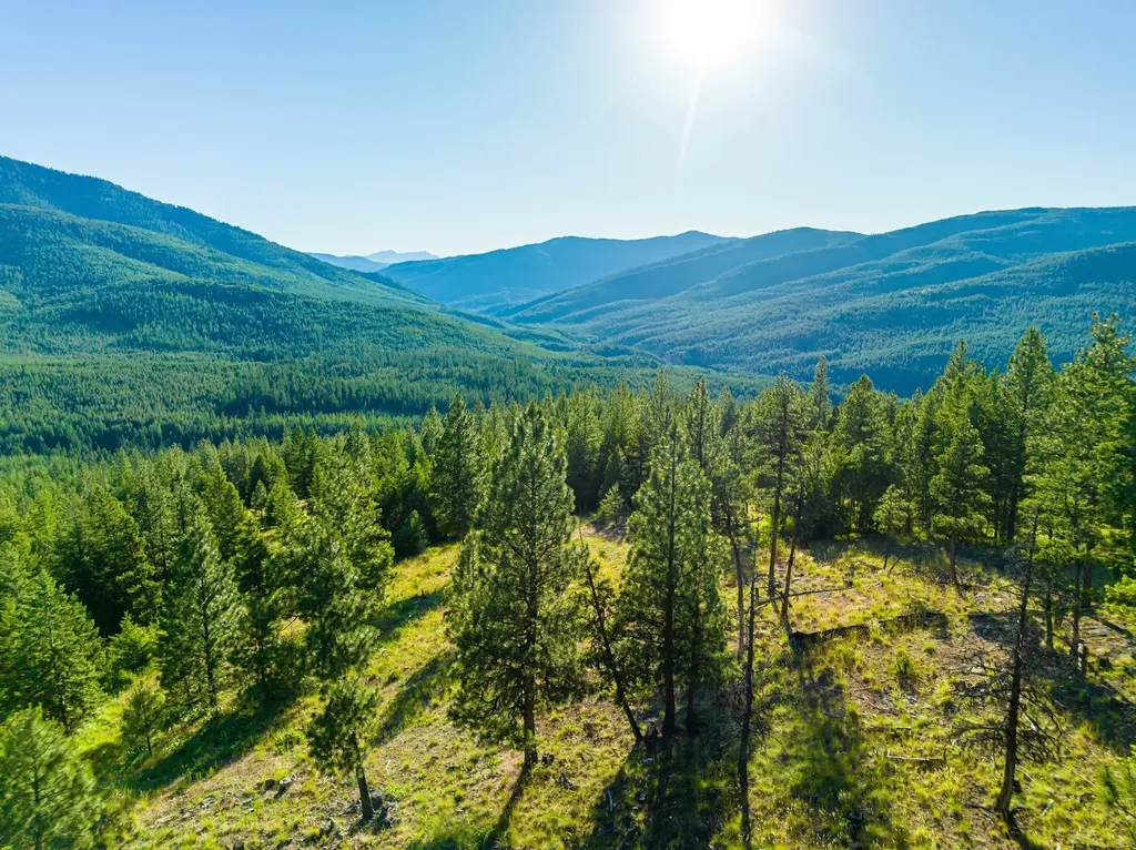 467 Wolf Creek Road Libby MT 59923