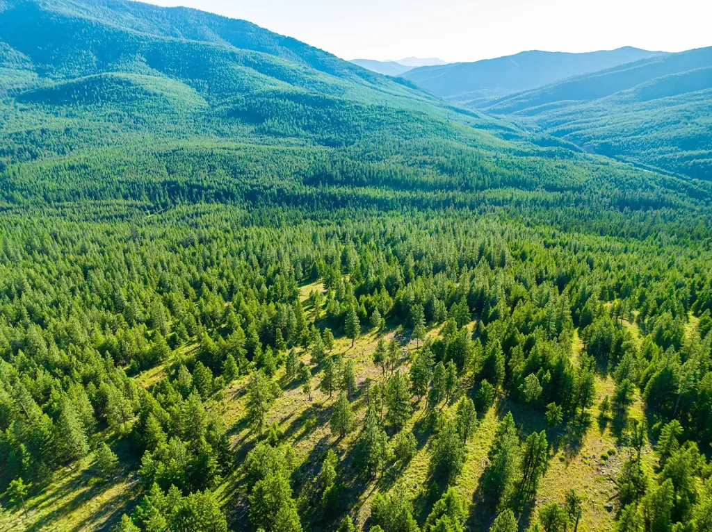 467 Wolf Creek Road Libby MT 59923