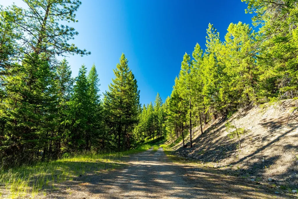 467 Wolf Creek Road Libby MT 59923