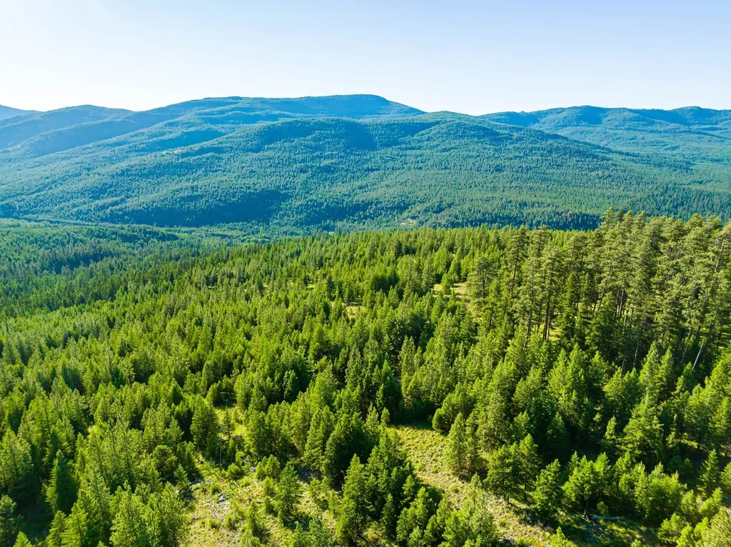 467 Wolf Creek Road Libby MT 59923