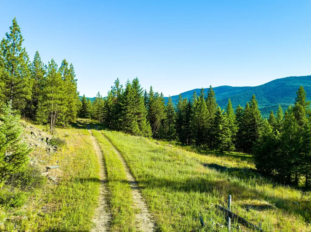 467 Wolf Creek Road Libby MT 59923