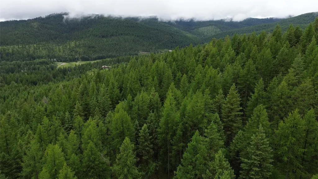 318 Lone Star Trail Kalispell MT 59901