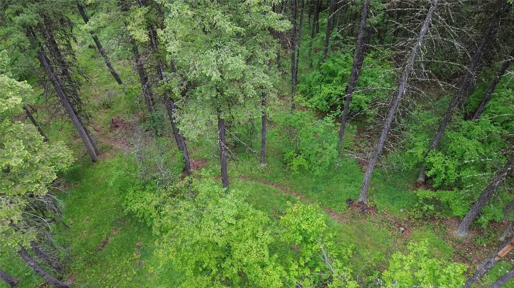 318 Lone Star Trail Kalispell MT 59901