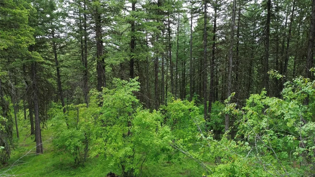 318 Lone Star Trail Kalispell MT 59901
