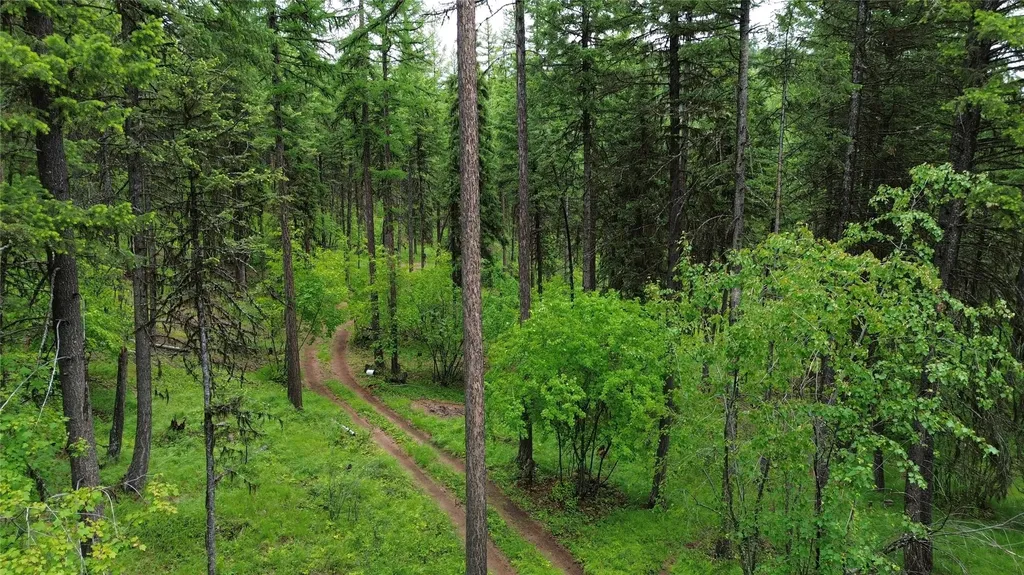 318 Lone Star Trail Kalispell MT 59901
