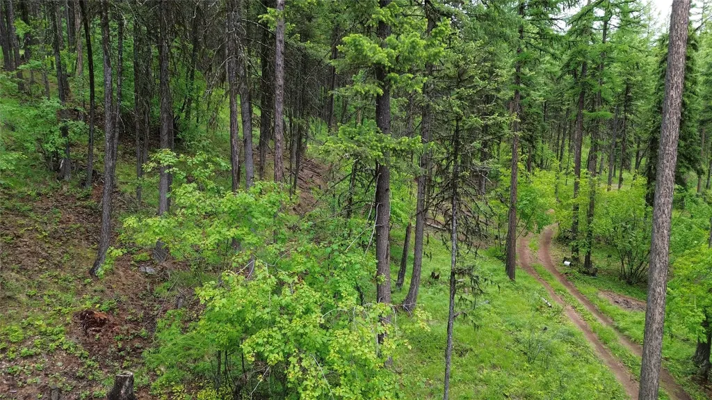318 Lone Star Trail Kalispell MT 59901