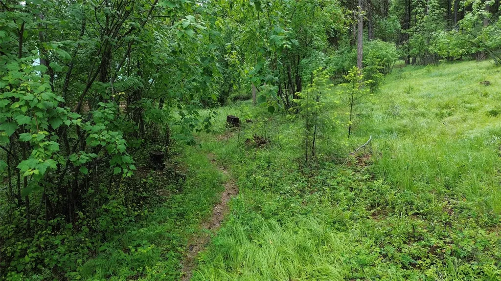 318 Lone Star Trail Kalispell MT 59901